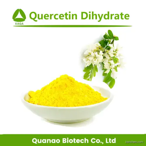 High Quality Sophora Japonica Extract Quercetin 98% Powder UV