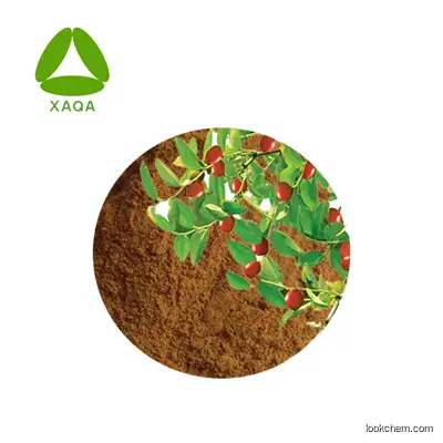 Factory Supply Natural Red Spine Date Seed Extract Ziziphus Jujuba Seed Extract Jujubosides 3% Powder