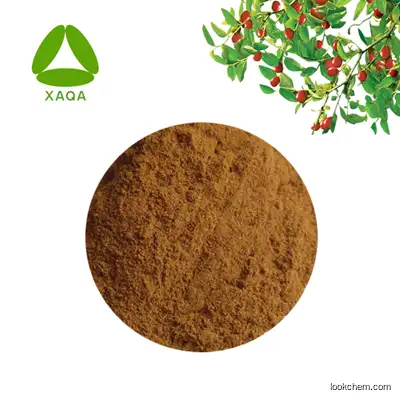Factory Supply Natural Red Spine Date Seed Extract Ziziphus Jujuba Seed Extract Jujubosides 3% Powder