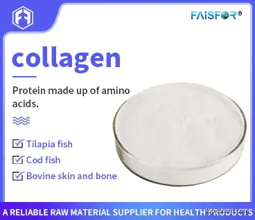 Water Soluble Anti-Aging 100% Pure Hydrolyzed Fish Collagen Powder/Bovine Collagen