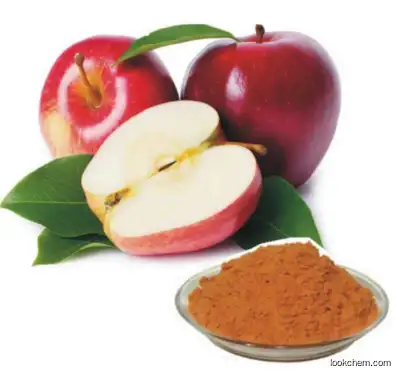 Apple Polyphenol, Phlorizin, Phloretin, Chlorogenic acid, Extract, Herbal