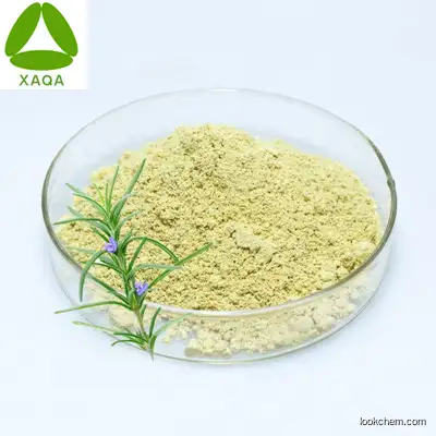 Top Quality Raw Material 100% Pure Natural Herb Rosemary Extract 50% Ursolic Acid Powder