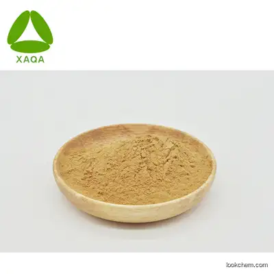 Factory supply Panax Ginseng root Extract Ginsenoside 80% with high quality