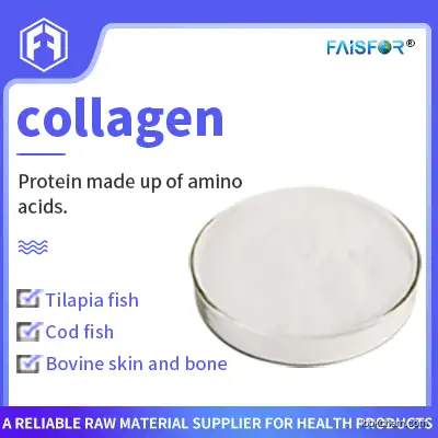 manufacturer of frozen collagen pure beauty collagen direct supplier 9064-67-9 factory