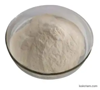 2021 Wholesale 99% Purity Food Grade Xanthan Gum Powder