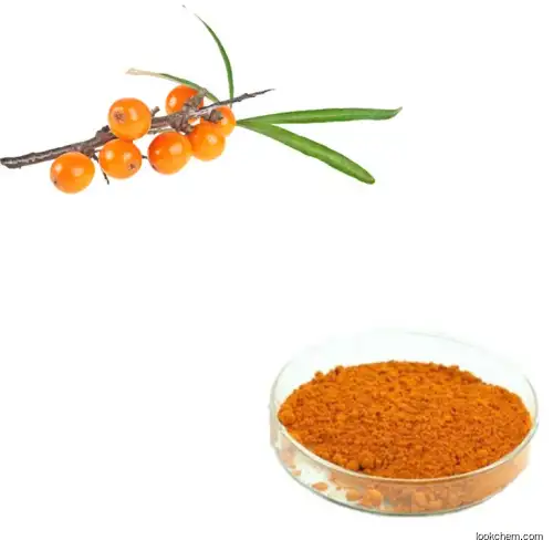 Top Sale Seabuckthorn Fruit Extract 30% Flavone Powder With Price