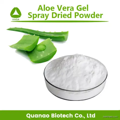Food Additive Aloe Vera Gel  Spray Dried Powder 200:1