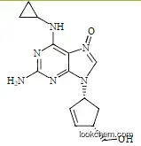 Abacavir N-Oxide(1443421-70-2)