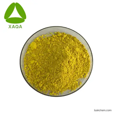Supply Coptis Chinensis Extract Powder Coptis Chinensis Root Extract  98% Berberine HCL