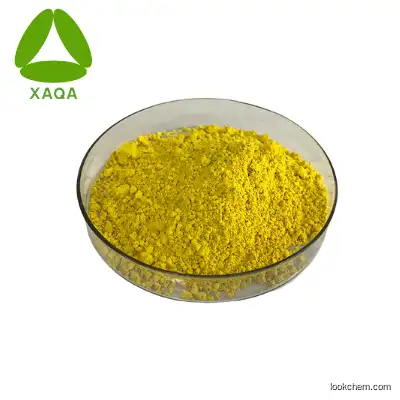 Supply Coptis Chinensis Extract Powder Coptis Chinensis Root Extract  98% Berberine HCL