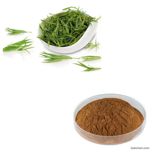 Natural Lophatherum Herb Extract powder bamboo leaf flavone 10% 20% 30%