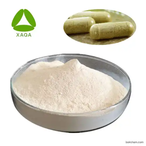 Loss weight Garcinia Cambogia Extract powder HCA 60% powder