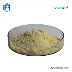 539-86-6 garlic powder