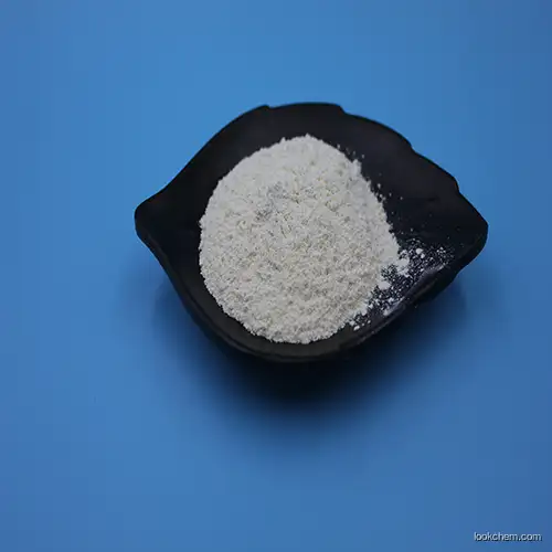 Food Preservatives Natamycin powder
