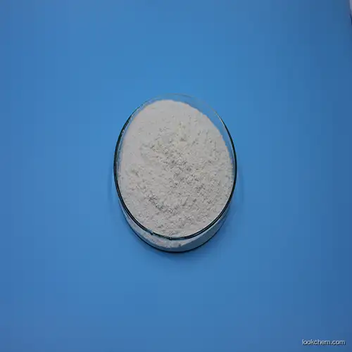 High Quality Food Grade Preservative CAS 7681-93-8 Natamycin Powder