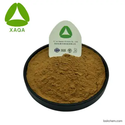 Herbal Powder Gynostemma Extract Gypenoside 98% Free Sample