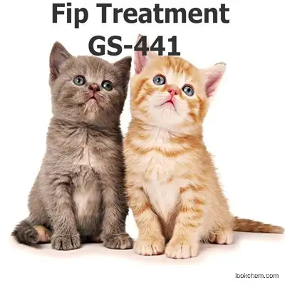 China Supplier Supply Fip Treatment GS-441 2.5ml/vial 5ml/vial?Free Shipping to Europe CAS 1191237-69-0