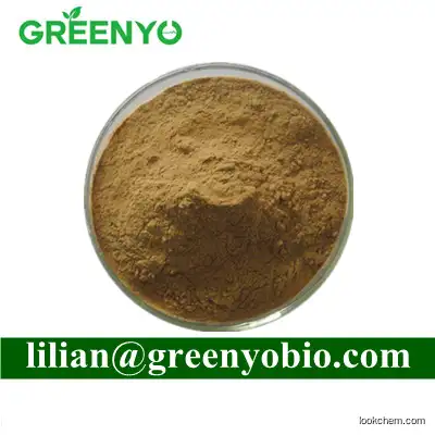 Olive Extract Powder 80% Oleuropein