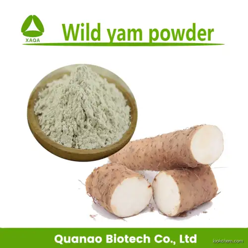 Wild Yam Extract powder Diosgenin 20% for Food