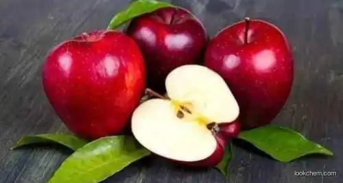 GMP manufacturer Apple Polyphenols / Phloretin / Phloridzin / Apple Extract