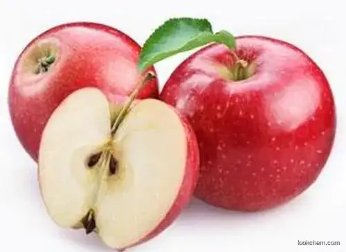 Chinese supplier apple extract Apple Polyphenol powder