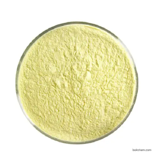 Factory Supply Methotrexate Powder High Quality 99% Methotrexate Raw Material Methotrexate/CAS 59-05-2