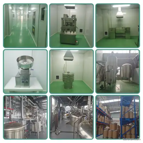 OEM GMP Factory Supply CAS 159634-47-6 99% Mk677 / Mk-677 / Ibutamoren Mk677 Powder