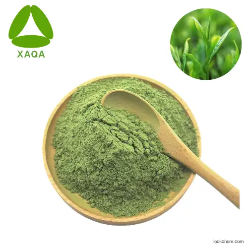 Hot Sale 100% Natural organic plant extract matcha green tea powder