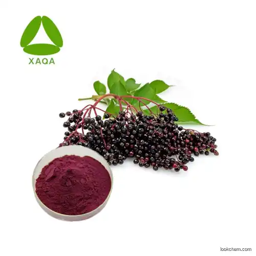 100% pure Elderberry powder  CAS No.: 528-58-5