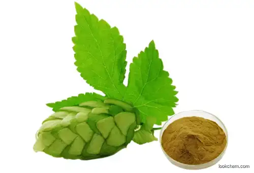 Factory Supply Natural Hops Extract Isoxanthohumol