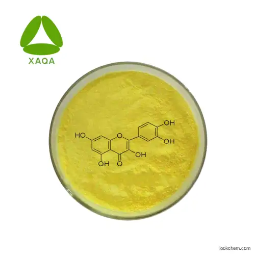 Sophora Japonica extract 98% Quercetin powder cas:117-39-5
