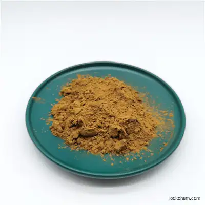 Hot Sale Powder Raw Material 90045-36-6 99% Pure Ginkgo Biloba extract