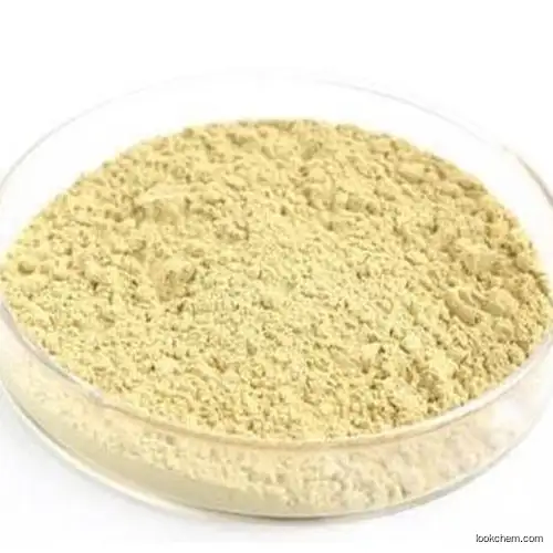 Top quality tian qi extract/panax notoginseng root extract total saponins/sanqi powder