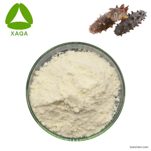 Natural Sea Cucumber Extract Powder 99% Sea Cucumber Polypeptide