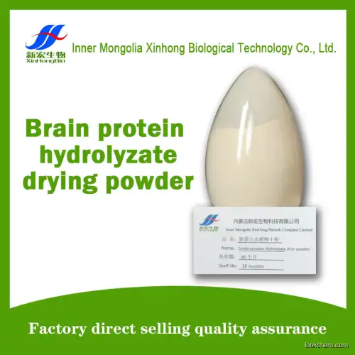 Brain protein hydrolyzate drying powder