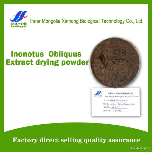 Inonotus  Obliquus Extract drying powder