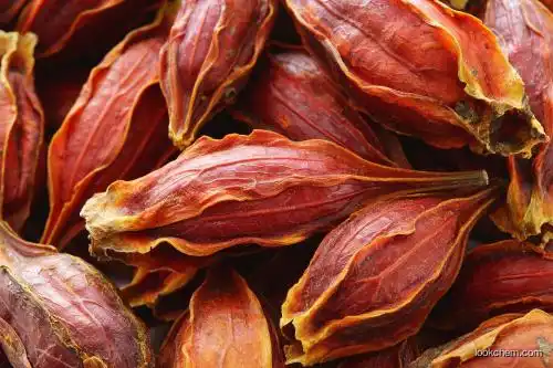 Gardenia Extract20%