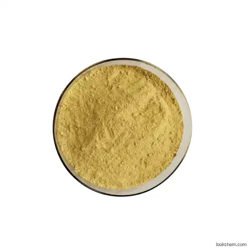 Natural Organic Milk Thistle Fruit Extract Powder 80% Silymarin for Liver Protecting