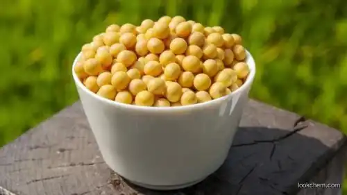 soy Isoflavone extrac with high quality &low
