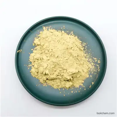 Supply Natural Celery Seed Extract 98% Apigenin CAS 520-36-5 Raw Powder
