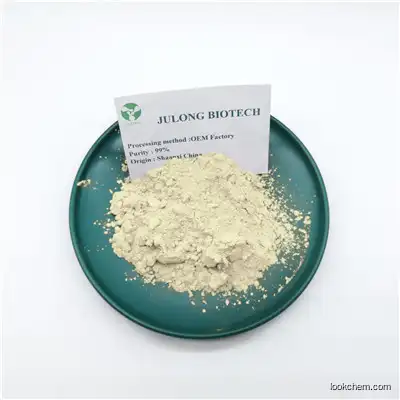Panax Ginseng Extract 10% Polysaccharides 10% 80% Ginsenosides Raw Powder CAS 127-40-2