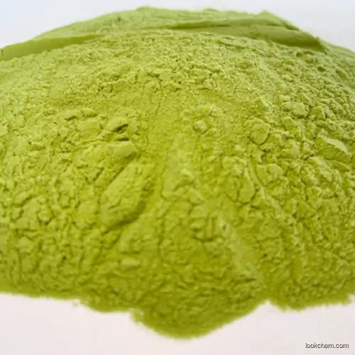 Resveratrol Natural Anti Oxidant Resveratrol 98% Giant Knotweed Extract
