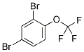 2,4-Dibromotrifluoromethoxybenzene 1840-97-7 C7H3Br2F3O
