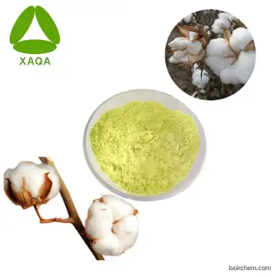 Men's Healthcare Cotton Seed Extract 98% Acetate Gossypol Gossypol-acetic acidPowder