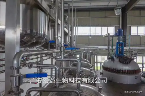 Andrographolide powder manufacturer puriyt 10%-98%