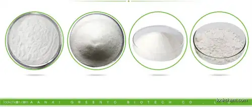 12345  High purity 99% Pramoxine Hydrochloride factory in stock CAS NO.637-58-1
