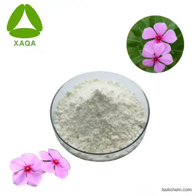 100% Natural High Quality Catharanthus Roseus Extract 99% Vincamine Powder