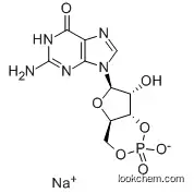 Guanosine 3',5'-cyclophosphate(CGMP Na) 40732-48-7 40732-48-7
