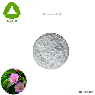 Quanao Supply Banaba Leaf Extract Corosolic Acid 98% Powder