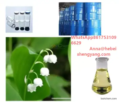 High quality Lactose Anhydrate Pharmaceutical Grade lactose monohydrate CAS NO.14641-93-1